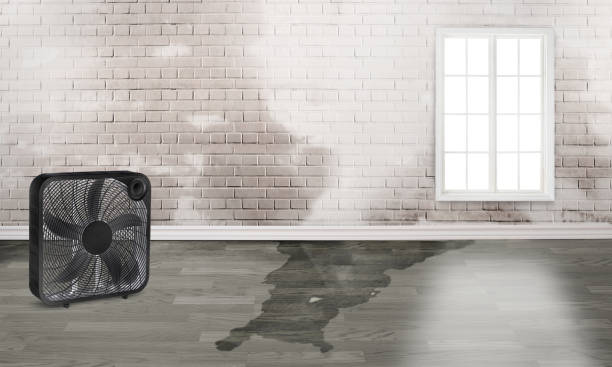 Best 24/7 water damage repair  in Fort Polk North, LA