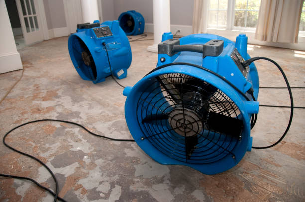 Best Ceiling water damage repair  in Fort Polk North, LA