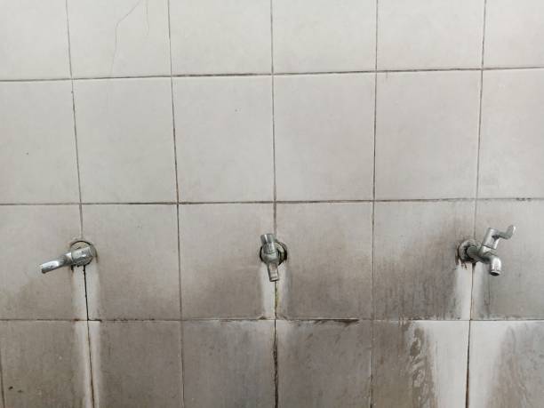 Best 24-hour water damage restoration  in Fort Polk North, LA
